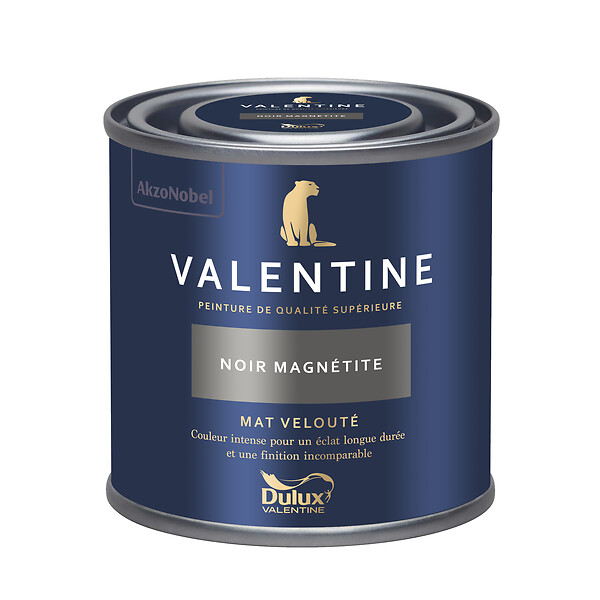 DULUX VALENTINE - Peinture murs&boiseries Valentine  Mat Velouté Noir Magnétite 0,125L - large
