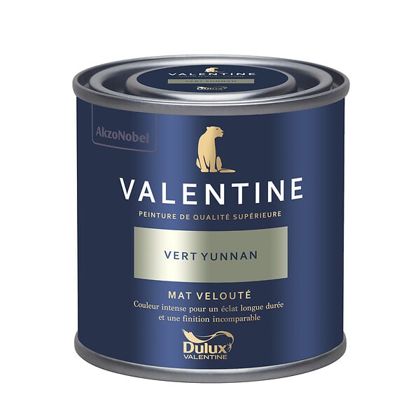 DULUX VALENTINE - Peinture murs&boiseries Valentine  Mat Velouté Vert Yunnan 0,125L - large