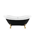 ROGIER & MOTHES - Baignoire sur pieds rétro DARLINGTON Noire 175 cm Pieds de Lion Dorés - vignette
