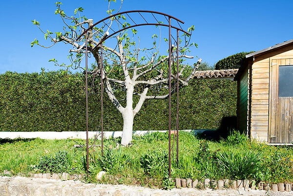 CENTRALE BRICO - Arche tube ROND20 pont fer vieilli - 148x40x207 cm - Acier époxy - large