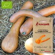ASSOCIATION KOKOPELLI - Courge Moschata Longue de Nice- Graines bio à semer - vignette