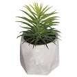ATMOSPHERA - Plante artificielle succulente - Pot ciment - H14cm - vignette