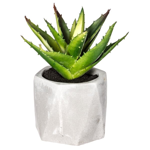 ATMOSPHERA - Plante artificielle succulente - Pot ciment - H14cm - large