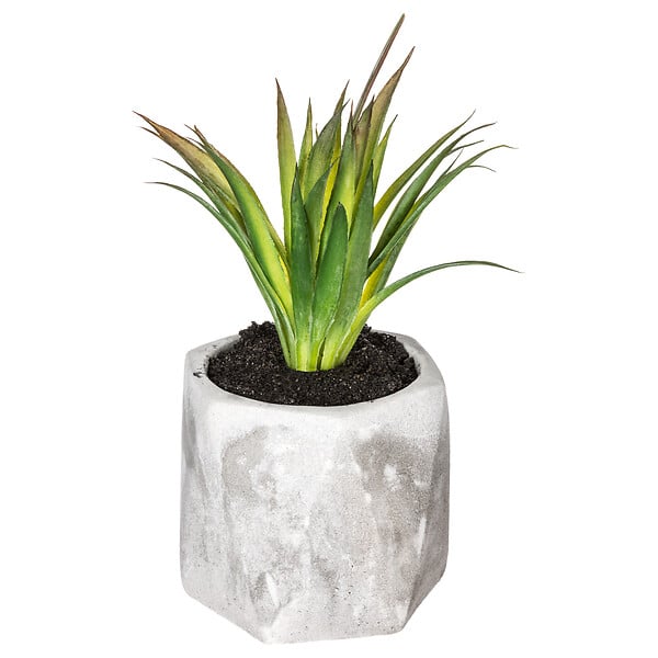 ATMOSPHERA - Plante artificielle succulente - Pot ciment - H14cm - large
