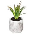 ATMOSPHERA - Plante artificielle succulente - Pot ciment - H14cm - vignette