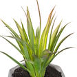 ATMOSPHERA - Plante artificielle succulente - Pot ciment - H14cm - vignette