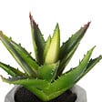 ATMOSPHERA - Plante artificielle succulente - Pot ciment - H14cm - vignette