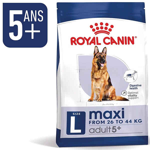 ROYAL CANIN - Croquettes chien MAXI ADULT 5+ POUR CHIEN DE GRANDE TAILLE +5 ANS 4KG - large
