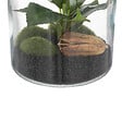 ATMOSPHERA - Terrarium plante artificielle - Verre - H19cm - vignette