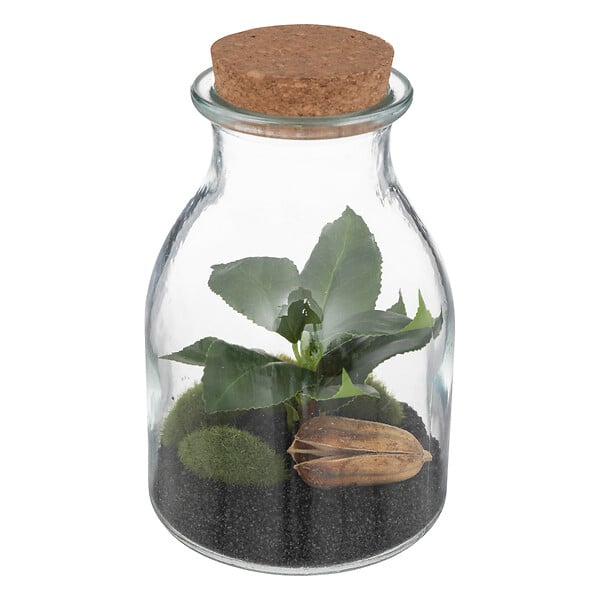 ATMOSPHERA - Terrarium plante artificielle - Verre - H19cm - large
