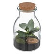 ATMOSPHERA - Terrarium plante artificielle - Verre - H19cm - vignette
