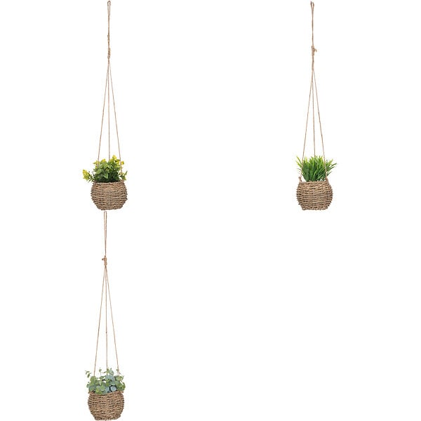 ATMOSPHERA - Plante susp zoe ass h17 box - large