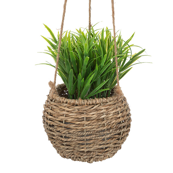 ATMOSPHERA - Plante susp zoe ass h17 box - large