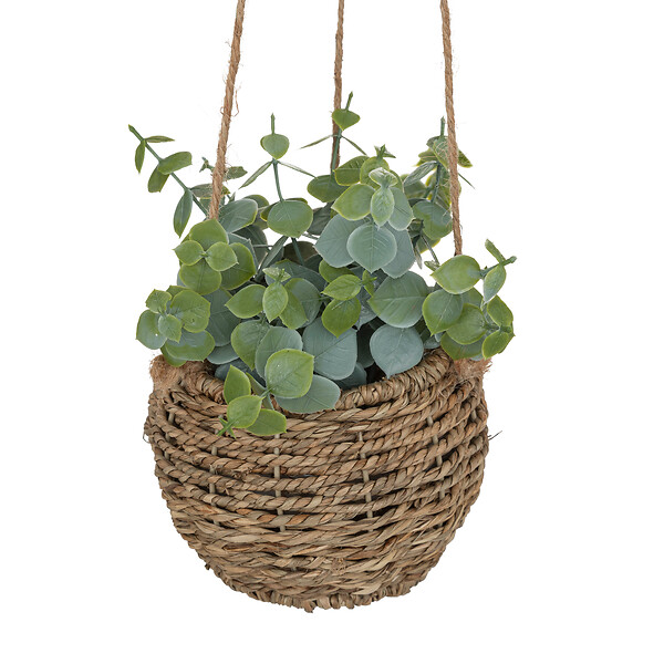 ATMOSPHERA - Plante susp zoe ass h17 box - large