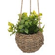 ATMOSPHERA - Plante susp zoe ass h17 box - vignette
