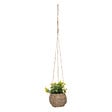 ATMOSPHERA - Plante susp zoe ass h17 box - vignette