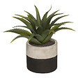 ATMOSPHERA - Plante artificielle Aloe vera pot Bicolore 28cm - vignette