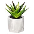 ATMOSPHERA - Plante artificielle succulente - Pot ciment - H14cm - vignette