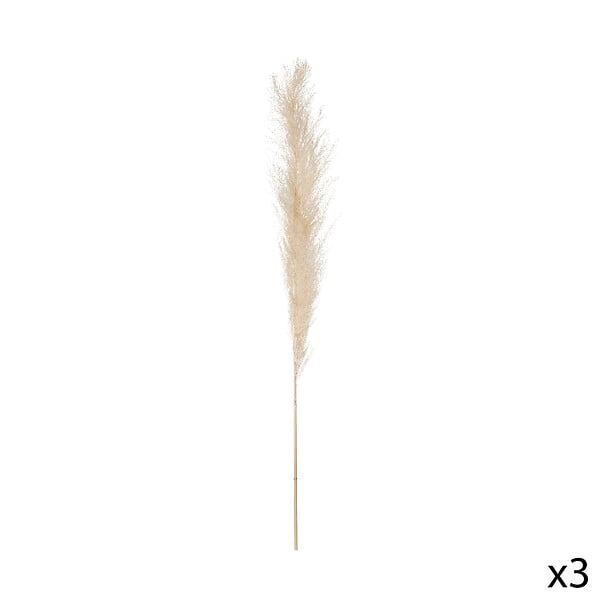 ATMOSPHERA - Lot de 3 tiges de pampa naturelle - Beige Gobi - H110cm - large