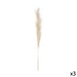 ATMOSPHERA - Lot de 3 tiges de pampa naturelle - Beige Gobi - H110cm - vignette