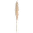 ATMOSPHERA - Lot de 3 tiges de pampa naturelle - Beige Gobi - H110cm - vignette