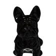 ATMOSPHERA - Statuette décorative chien en grès - Eden - Noir - H.22cm - vignette