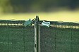 NORTENE - Brise-vue PE tissé 100% bouton Vert, largeur 1.50m - Vendu au mètre - vignette