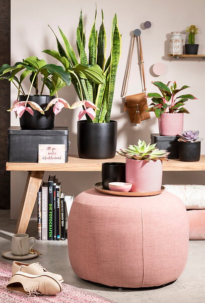 DEROMA - Cache-pot 900 Rosea 13cm - large