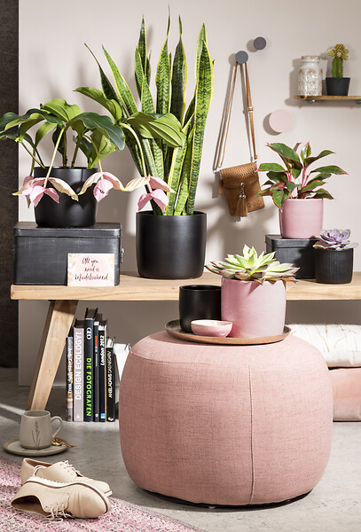 DEROMA - Cache-pot 900 Rosea 15cm - large