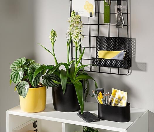 DEROMA - Cache-pot en céramique 909 Ebano - Noir - 24cm - large