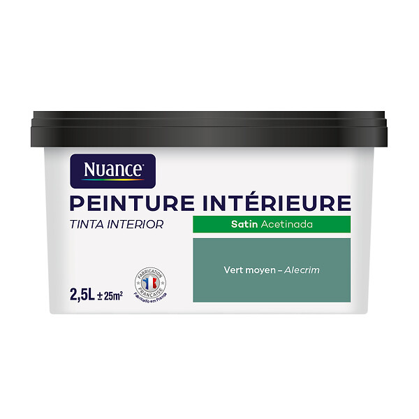 NUANCE - Peinture Bicouche - Vert moyen - Satin - 2,5L - large