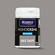 NUANCE - Testeur peinture MonoCrème - Gris taupe - Mat - 50ml - vignette
