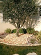 OPTIMBETON - Galet rose Valencia 12 -18 - Aménagement paysager - 20kg - vignette