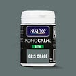 NUANCE - Testeur peinture MonoCrème - Gris orage - Satin - 50ml - vignette