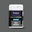NUANCE - Testeur peinture MonoCrème - Gris ardoise - Mat - 50ml - vignette
