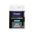 NUANCE - Testeur peinture MonoCrème - Gris ardoise - Mat - 50ml - vignette