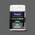 NUANCE - Testeur peinture MonoCrème - Gris ardoise - Satin - 50ml - vignette