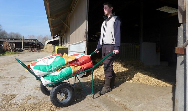 HAEMMERLIN - Brouette Agricola 2 Roues Gonflées - large