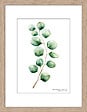 DADA ART - Image encadree +pp naturel 30x40 cm - 16085 - vignette