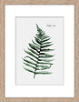 DADA ART - Image encadrée PP naturel 30x40cm - vignette