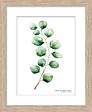 DADA ART - Image encadrée naturelle 24x30cm - vignette
