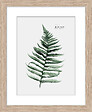 DADA ART - Image encadree +pp naturel 24x30 cm - 16086 - vignette