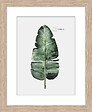 DADA ART - Image encadrée bois naturel - 24x30cm - vignette