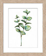DADA ART - Image encadrée bois naturel - 24x30cm - vignette