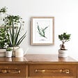 DADA ART - Image encadree +spp naturel 24x30 cm - 35406 - vignette