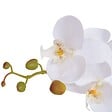 VIDAXL - vidaXL Plante artificielle avec pot Orchidée 75 cm Blanc - vignette