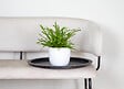 BLOOMIQUE - Nephrolepis Duffi - Fougère frisée - Plante d’intérieur - Dépolluante - H. 20-30 cm - P. 12 cm - vignette