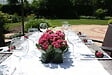 BLOOMIQUE - Lot de 6 - Kalanchoé - Fleurs roses - Plante d'extérieur et d'intérieur - H. 25-30 cm - P. 12 cm - vignette