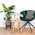 BLOOMIQUE - Strelitzia Nicolai - Oiseau de paradis - Plante d’intérieur - Dépolluante - H. 80-100 cm - vignette