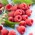 BLOOMIQUE - Rubus Idaeus 'Héritage' - Framboos Plant - Fruitplanten - Tuinplanten - Rustique - P. 14 cm - vignette